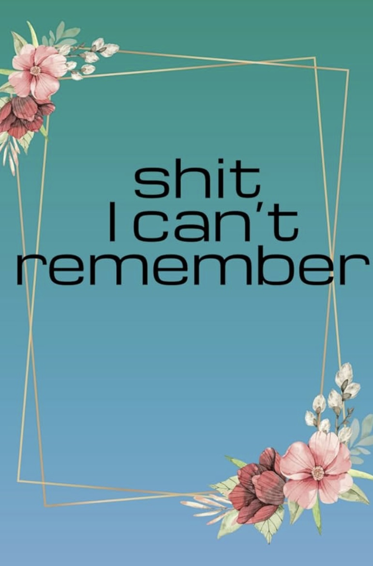 Shit I Can’t Remember by Ana L. Vazquez
